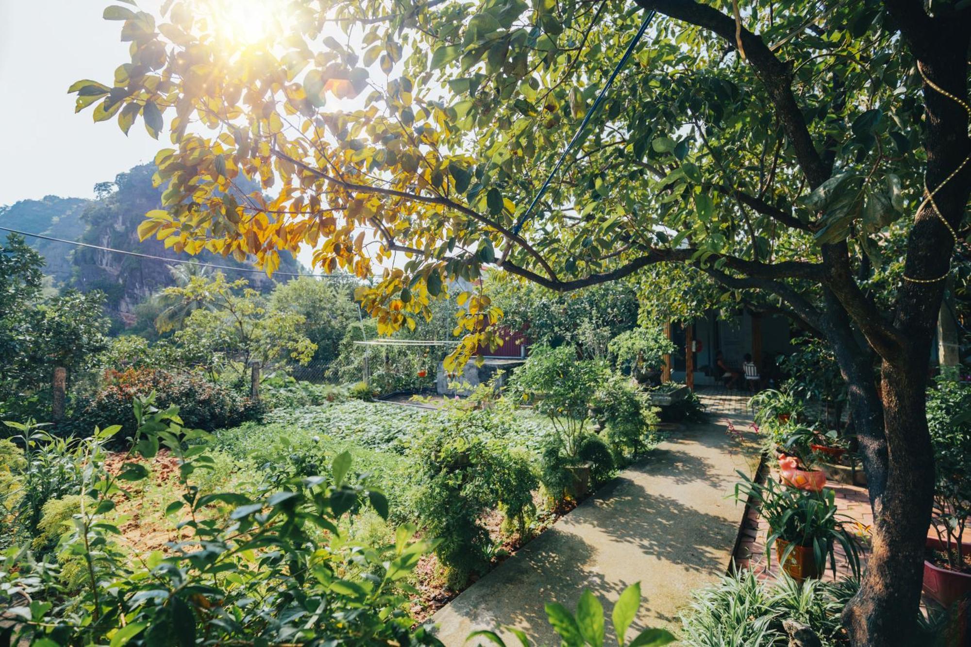 Blue Garden Homestay 닌빈 외부 사진