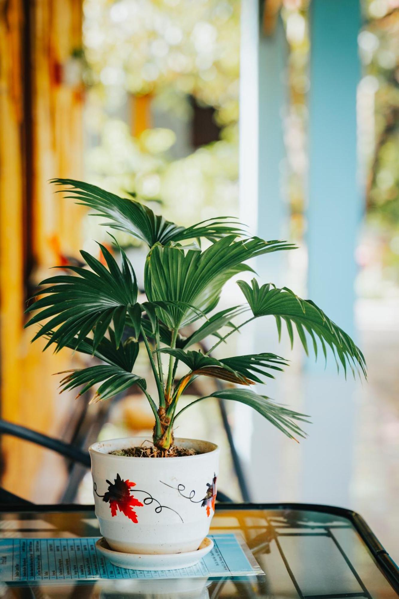 Blue Garden Homestay 닌빈 외부 사진
