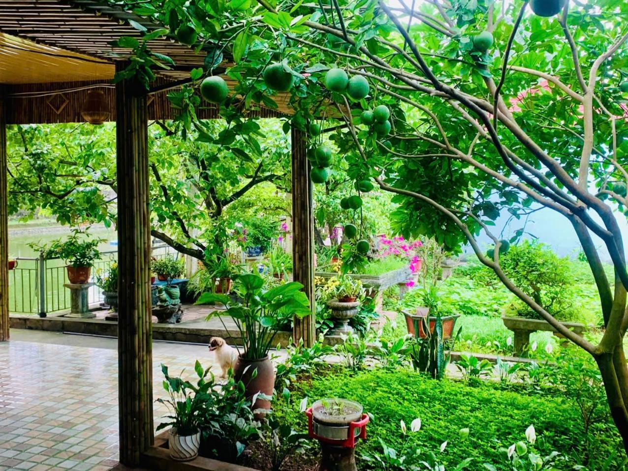 Blue Garden Homestay 닌빈 외부 사진