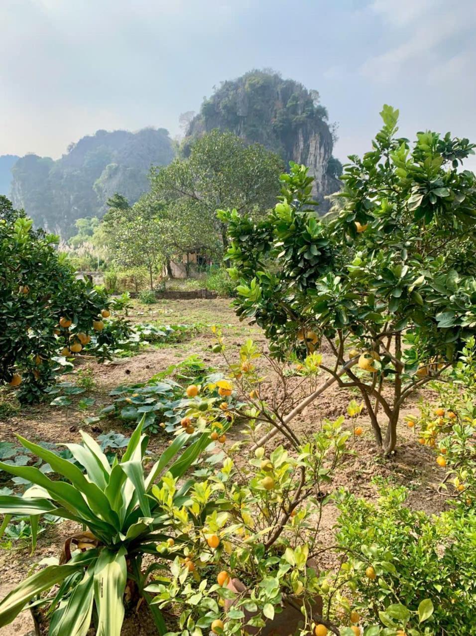 Blue Garden Homestay 닌빈 외부 사진