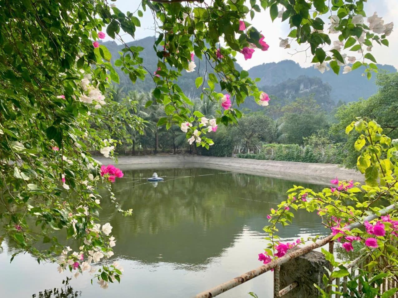 Blue Garden Homestay 닌빈 외부 사진