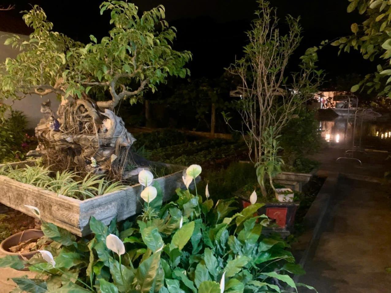 Blue Garden Homestay 닌빈 외부 사진