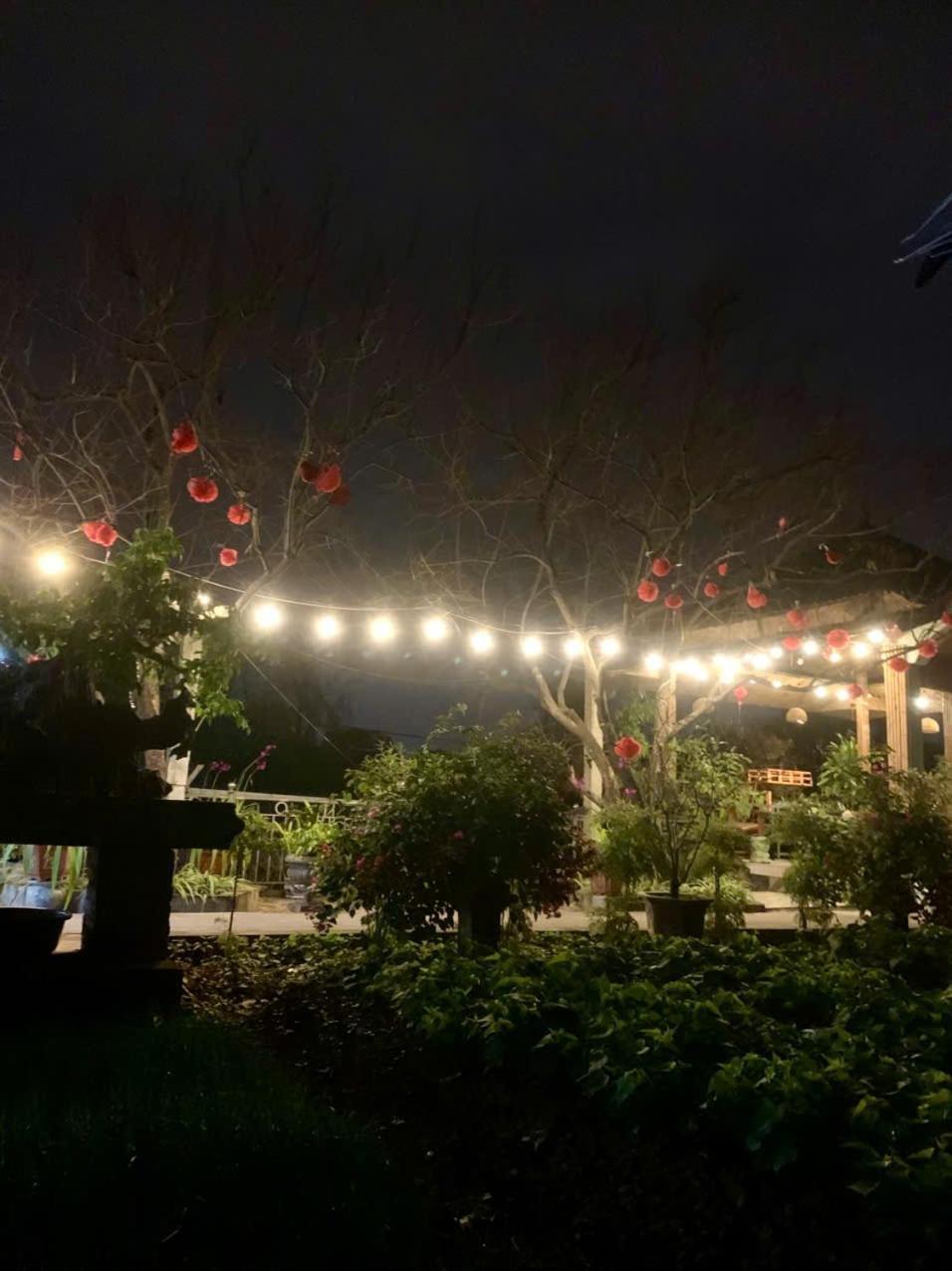 Blue Garden Homestay 닌빈 외부 사진