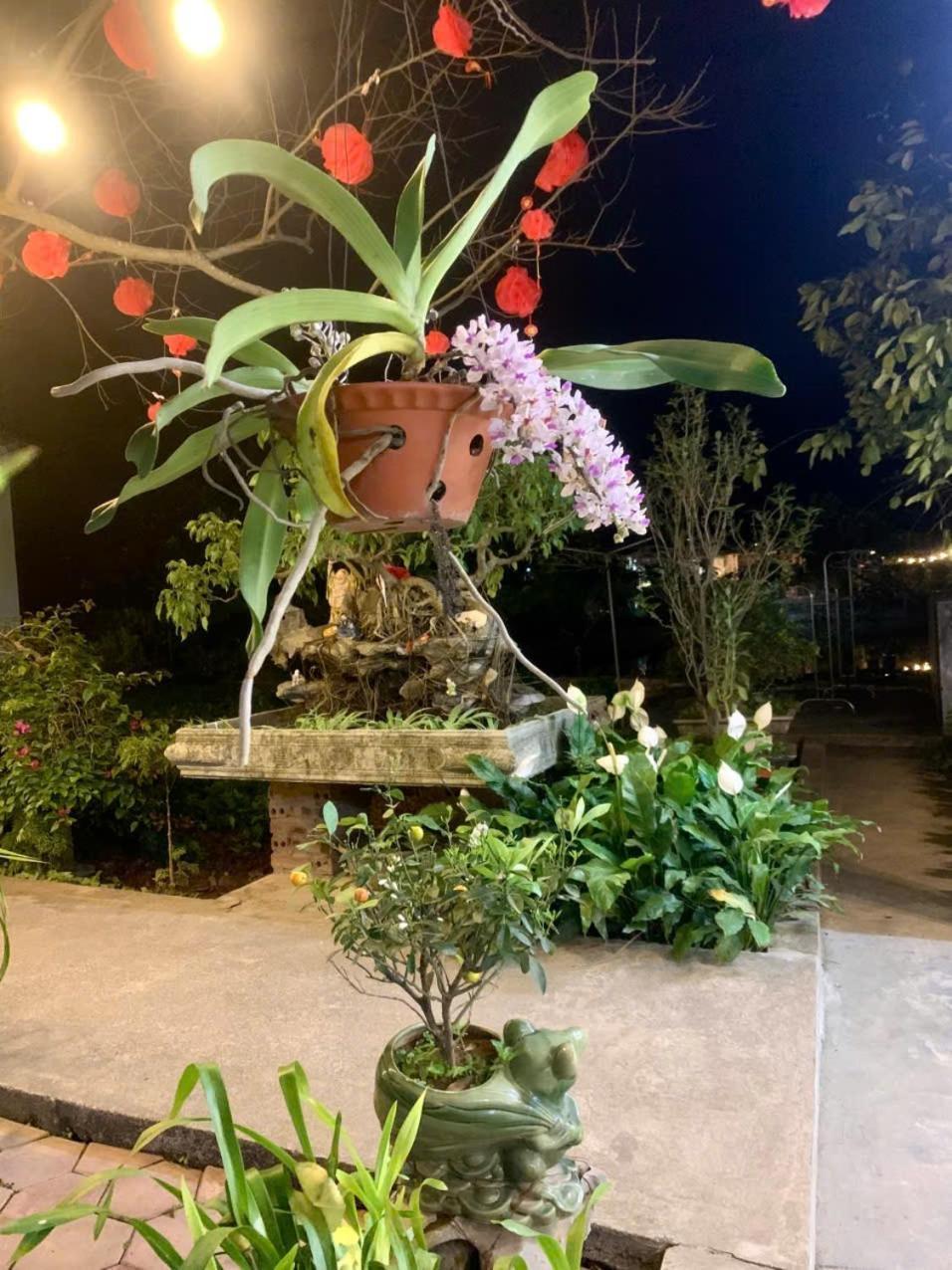 Blue Garden Homestay 닌빈 외부 사진