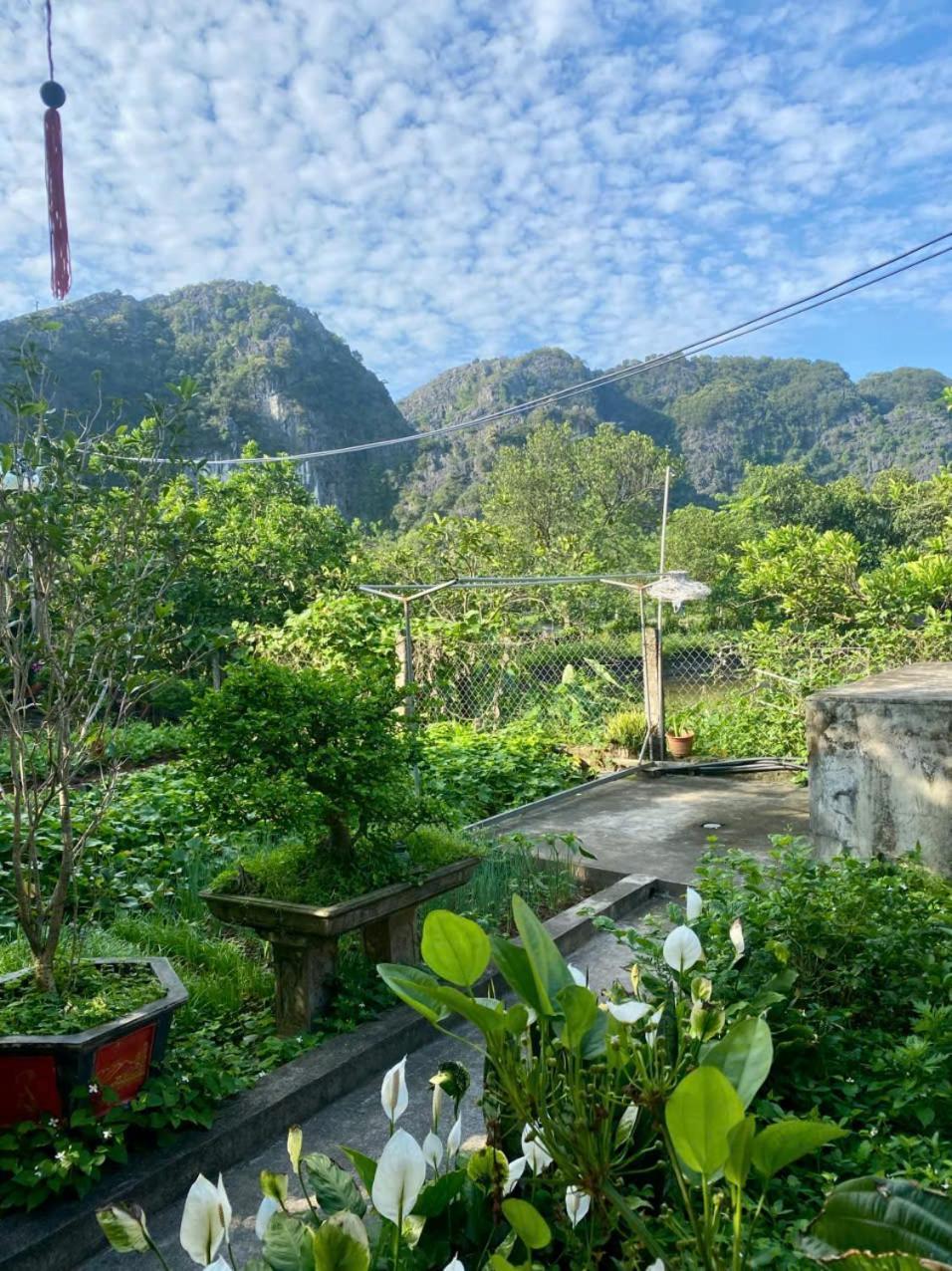 Blue Garden Homestay 닌빈 외부 사진