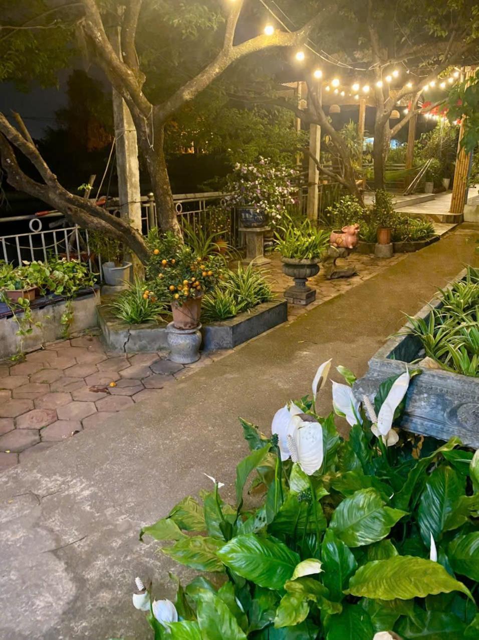Blue Garden Homestay 닌빈 외부 사진