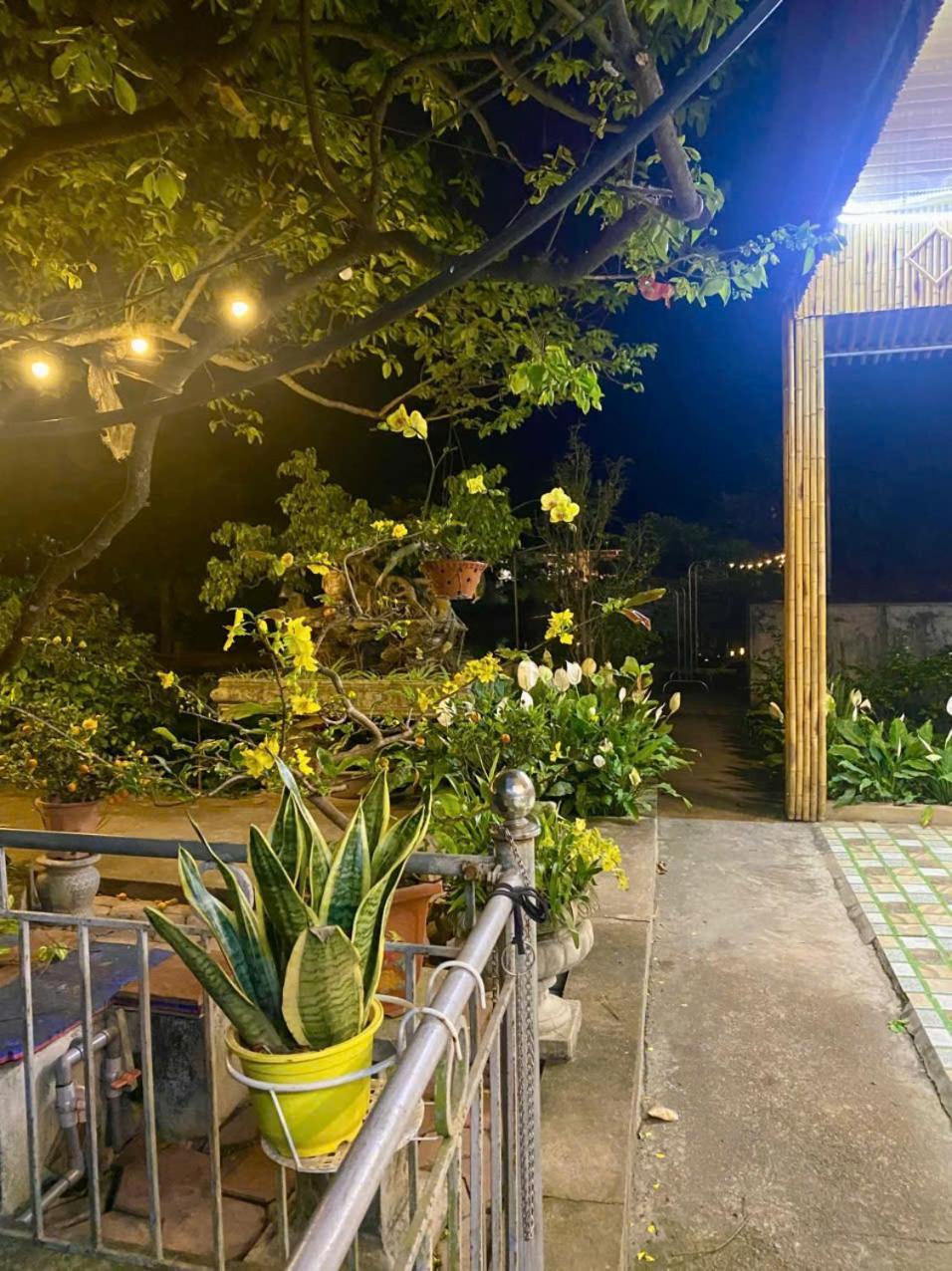 Blue Garden Homestay 닌빈 외부 사진